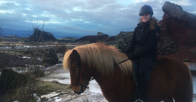 Experiencing the Icelandic Horse